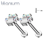 Pair of Implant Grade Titanium Paw Print Aurora Borealis CZ Push In Earrings With Flat Back